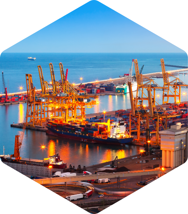 Our Exports Image